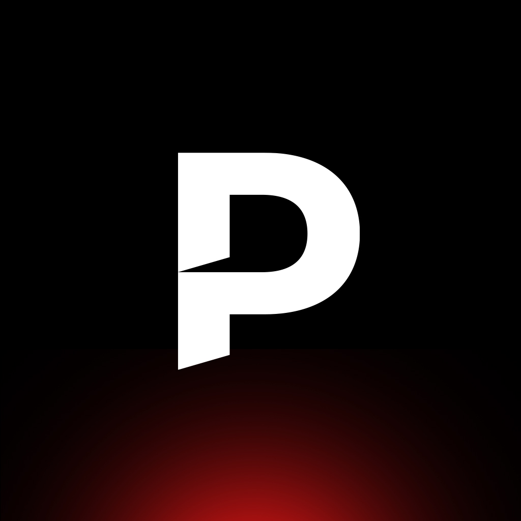 Playpix Studio logo